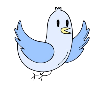 Colorful Bird