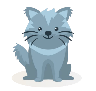 Adorable Cat