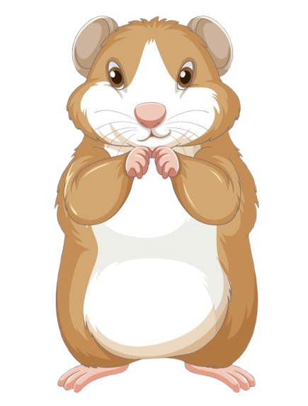 Cute Hamster