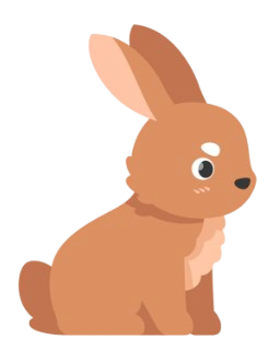 Soft Rabbit